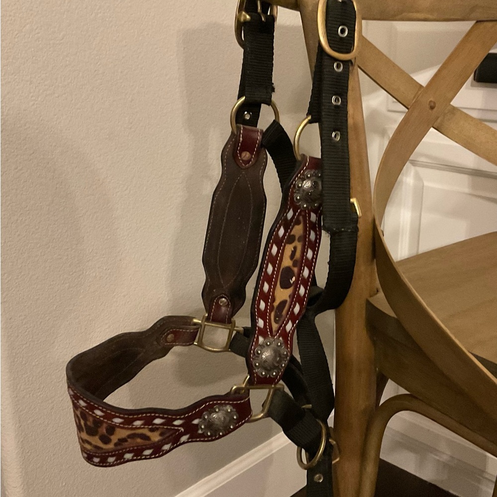 Leopard Print horse halter